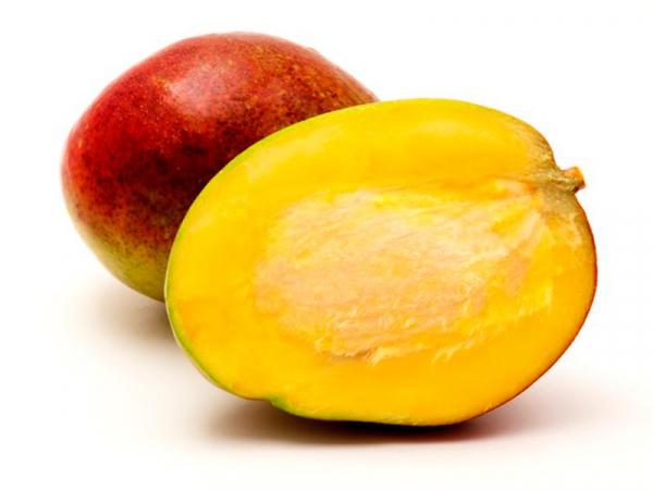 Как вырастить манго из косточки: особенности растения