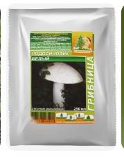 Подберезовики белые: фото и описание гриба альбиноса, где и когда собирать, рецепты, отзывы