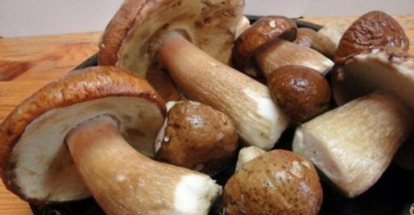 Как заморозить белые грибы на зиму в морозилке: 6 вариантов с указанием, сколько варить, советами и рецептами