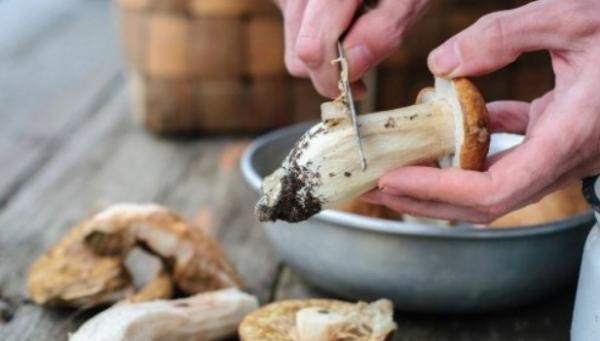 Как варить белые грибы и нужно ли: сколько, для вареных, свежих, замороженных