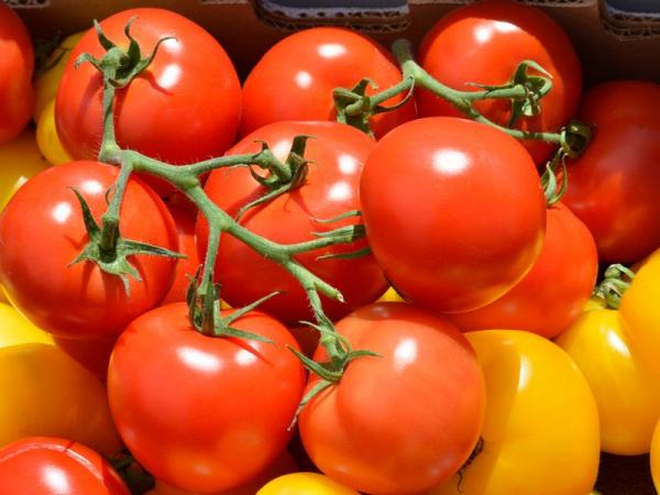 Стандартные томаты: 35 сортов