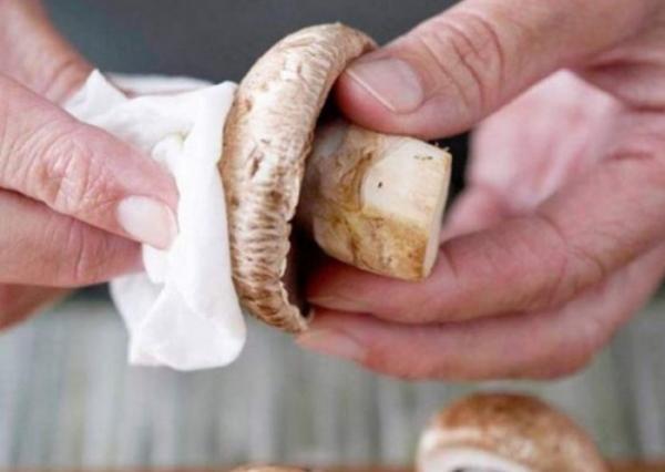 Как заморозить шампиньоны на зиму: можно ли замораживать сырые грибы целиком в морозилке, как размораживать, сколько хранить