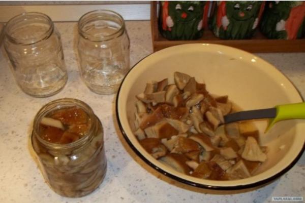 Желтый гриб: 20+ фото гриба, описание, когда и где собирать, польза и вред, рецепты
