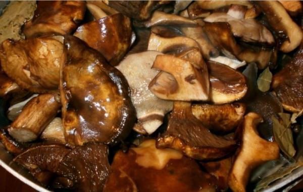 Как почистить белые грибы и подготовить их + 12 рецептов с фото, отзывами