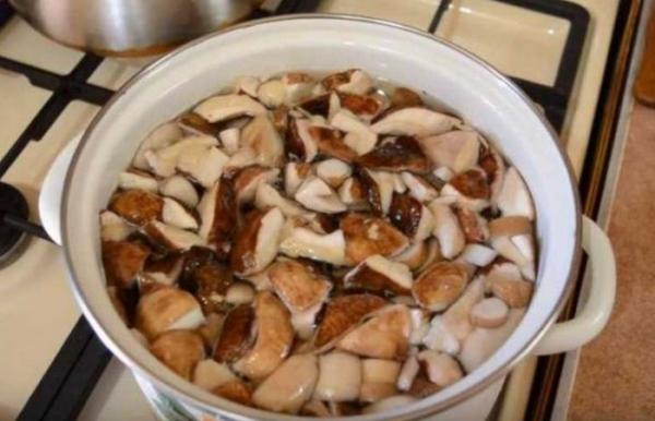 Как варить белые грибы и нужно ли: сколько, для вареных, свежих, замороженных