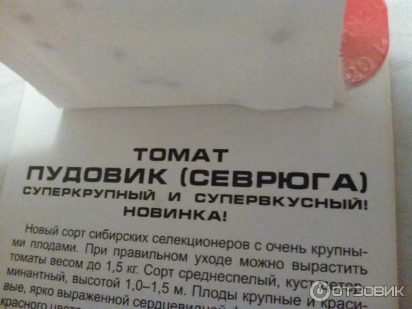 Томат Сердце Сибири (фото, отзывы) + 11 сортов сибирской селекции в форме сердца